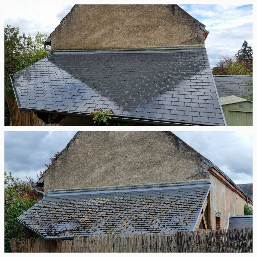 Démoussage